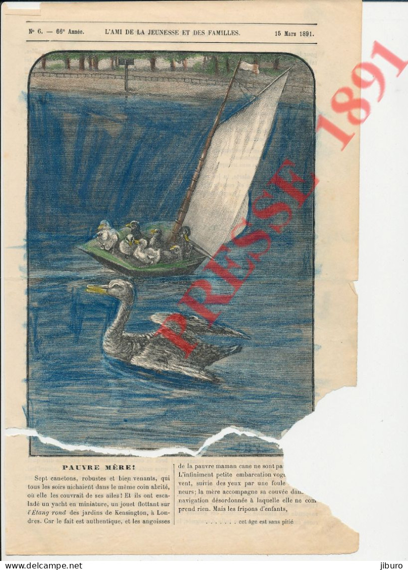 (very Bad Condition - Mauvais état Déchiré En Deux + Manque ) Gravure 1891 Cane Canetons Modélisme Bateau Voilier Bassin - Ohne Zuordnung