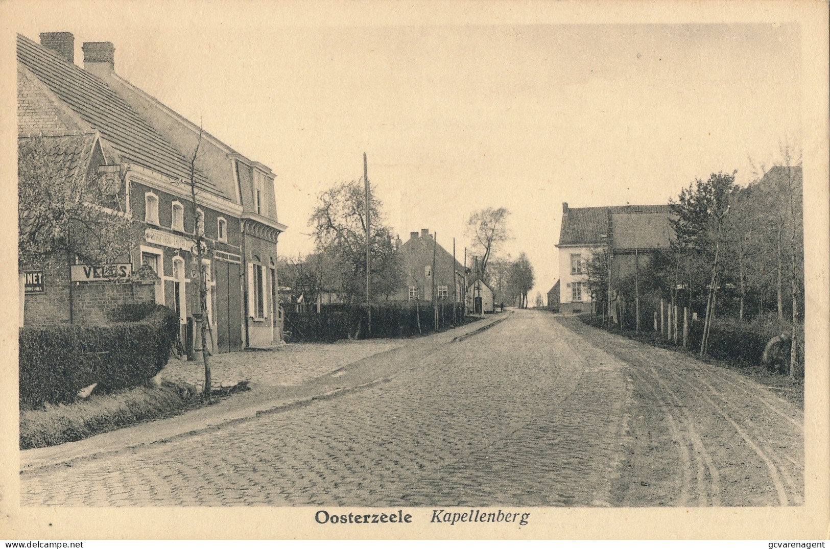 OOSTERZELE    KAPELLENBERG          ZIE  SCANS - Oosterzele