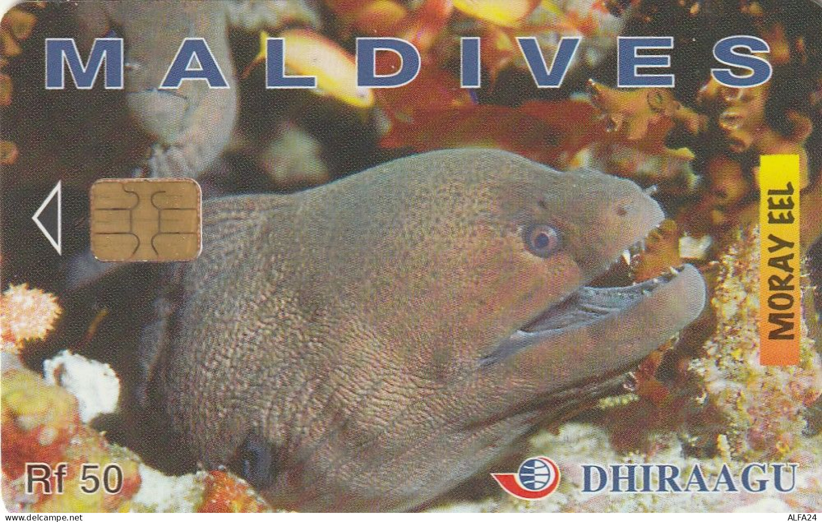 PHONE CARD MALDIVE  (E54.11.8 - Maldivas