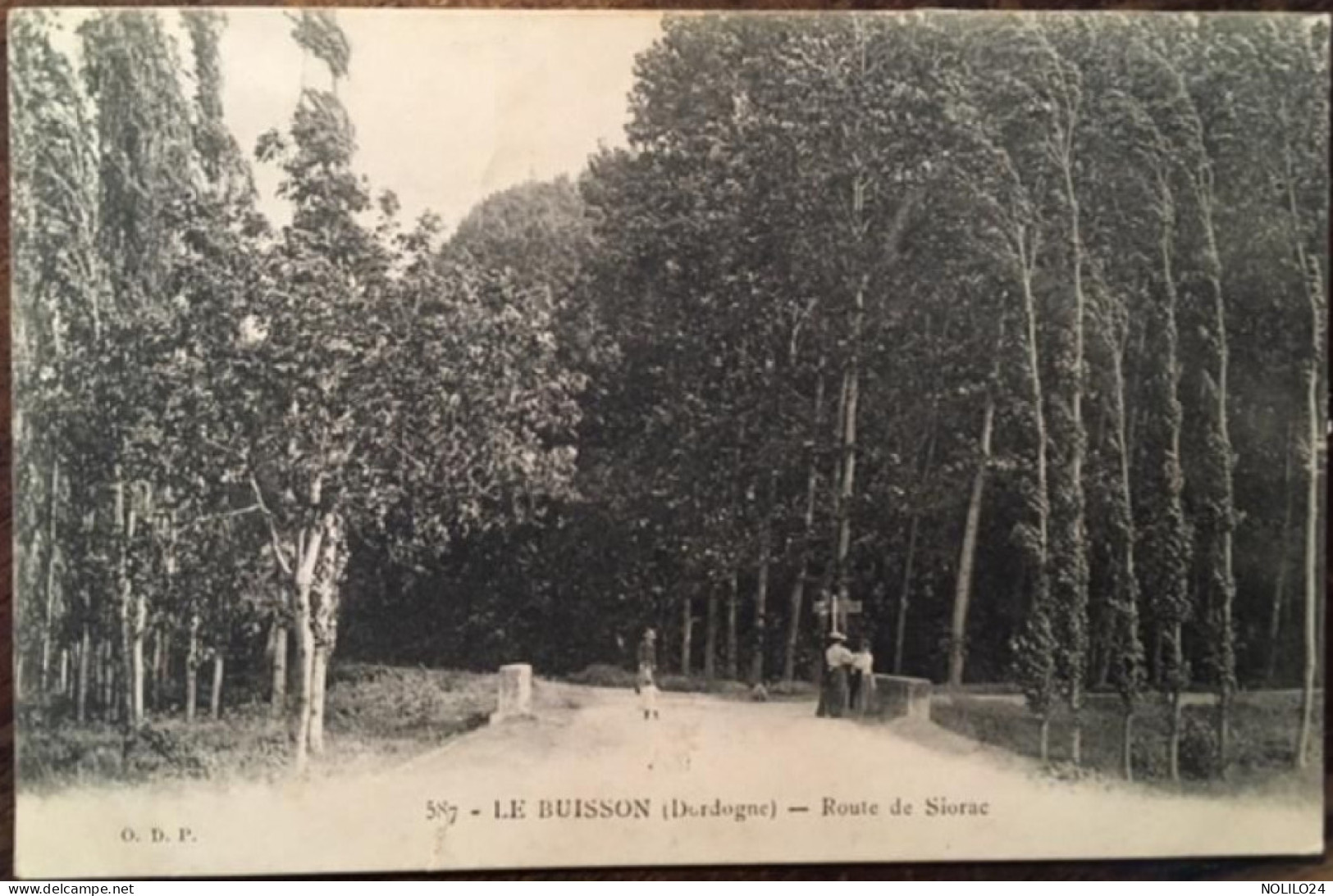 Cpa 24 Dordogne, LE BUISSON, Route De Siorac, Animée, éd O.D.P, écrite En 1907 - Otros & Sin Clasificación