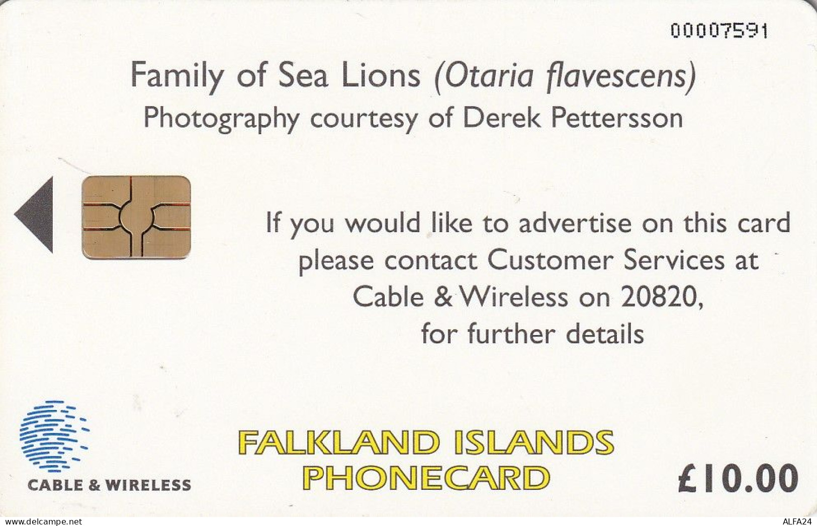 PHONE CARD FALKLAND  (E51.11.6 - Islas Malvinas