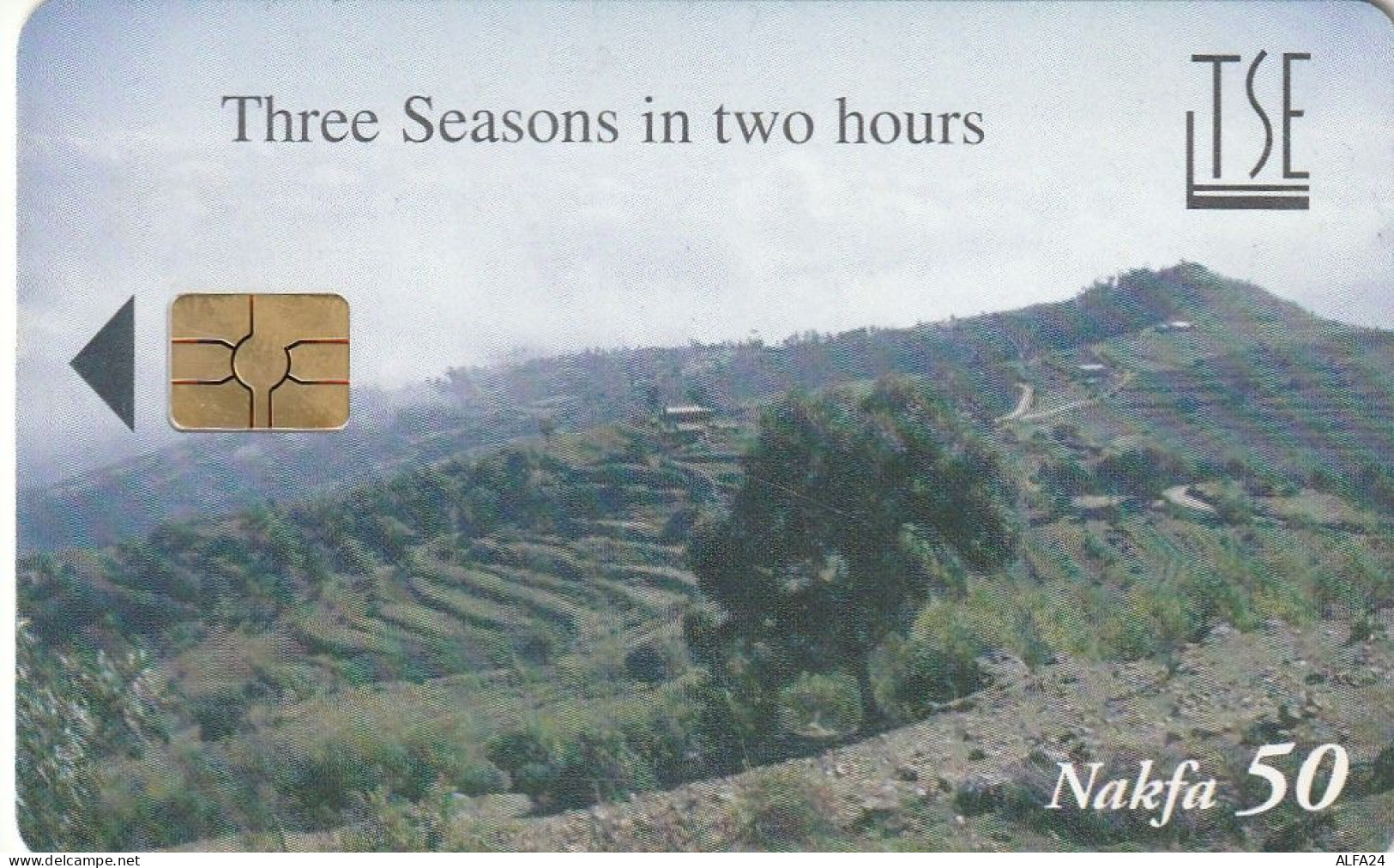 PHONE CARD ERITREA  (E51.8.6 - Erythrée