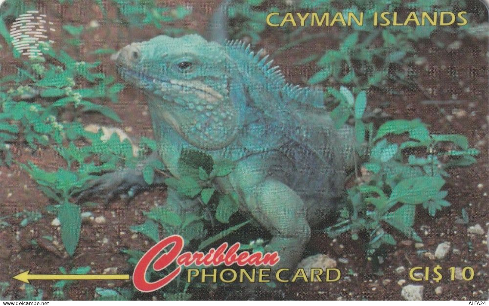 PHONE CARD CAYMAN ISLANDS  (E51.6.7 - Islas Caimán