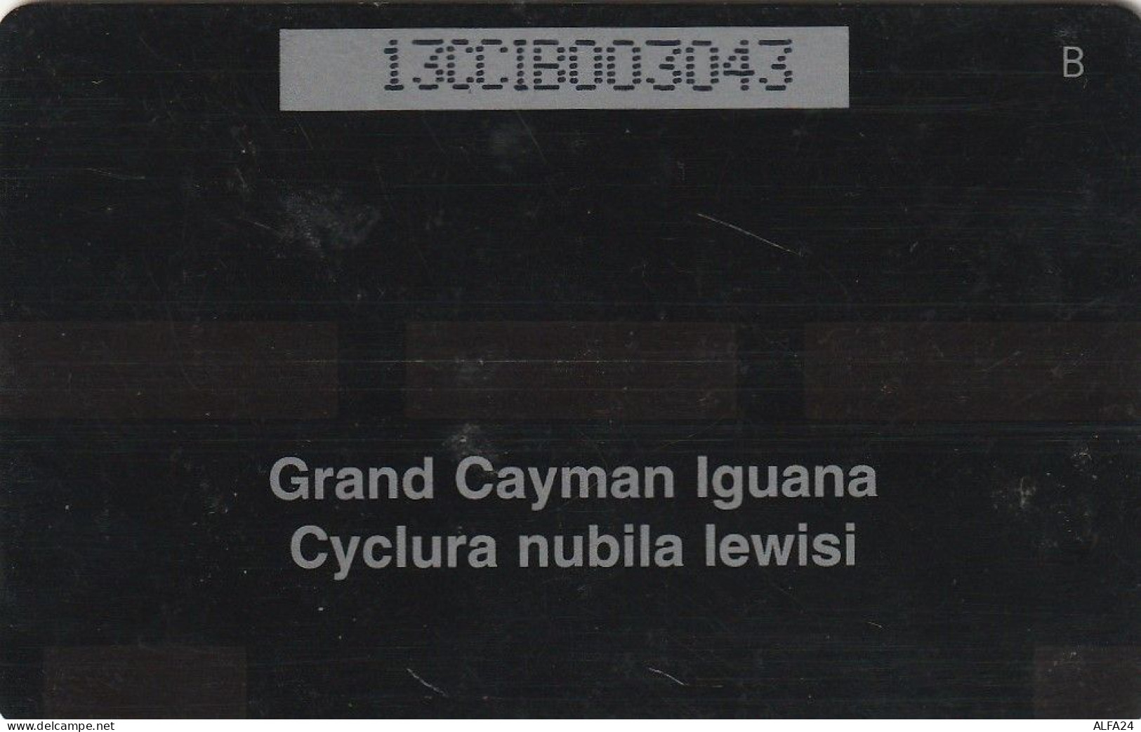 PHONE CARD CAYMAN ISLANDS  (E51.6.7 - Isole Caiman