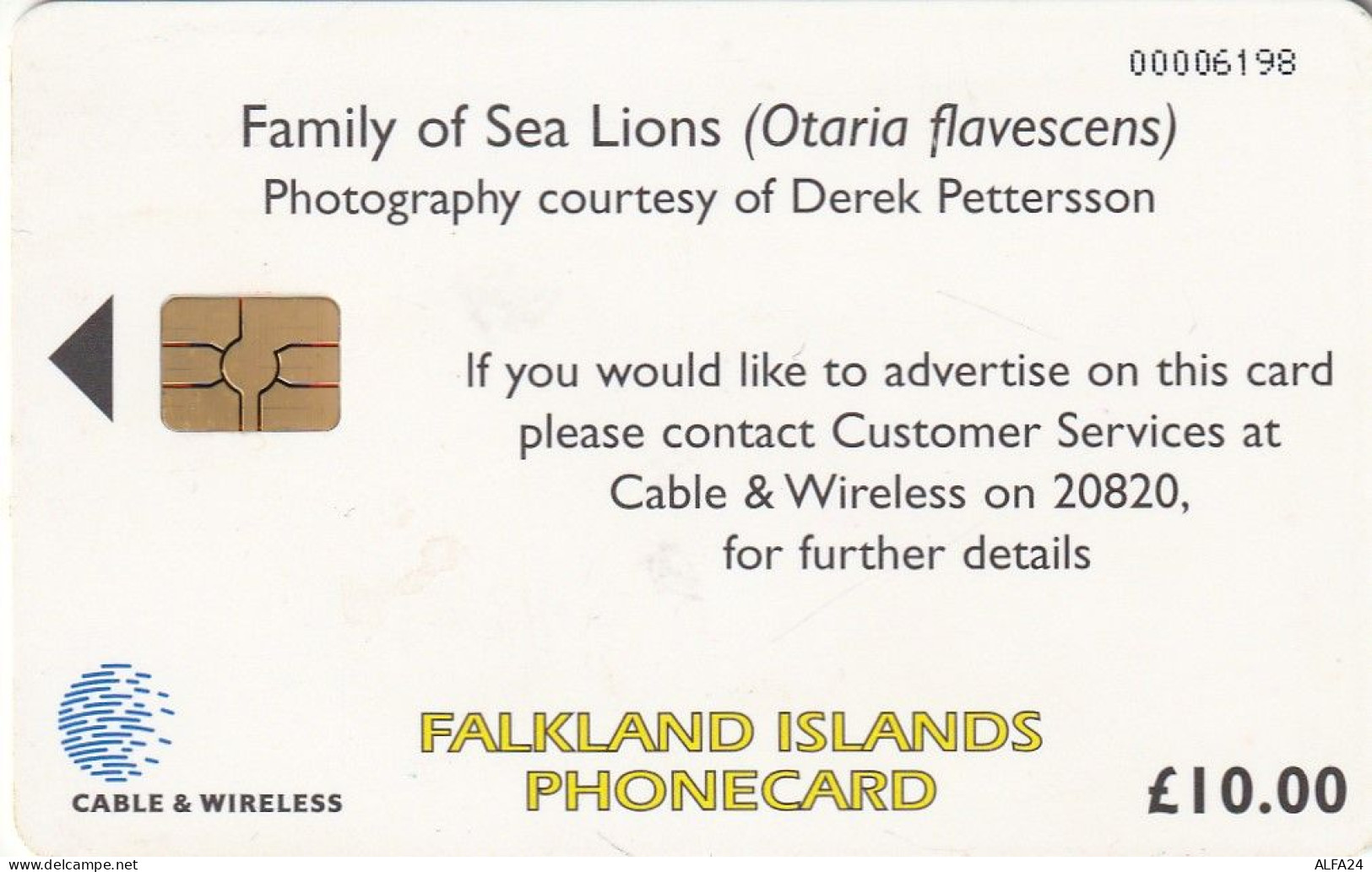 PHONE CARD FALKLAND  (E51.1.7 - Falklandeilanden