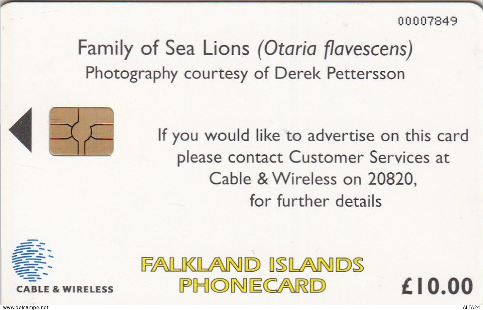 PHONE CARD FALKLAND  (E51.2.7 - Falklandeilanden