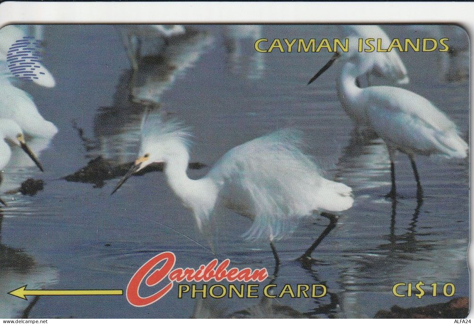 PHONE CARD CAYMAN ISLANDS  (E50.35.5 - Iles Cayman