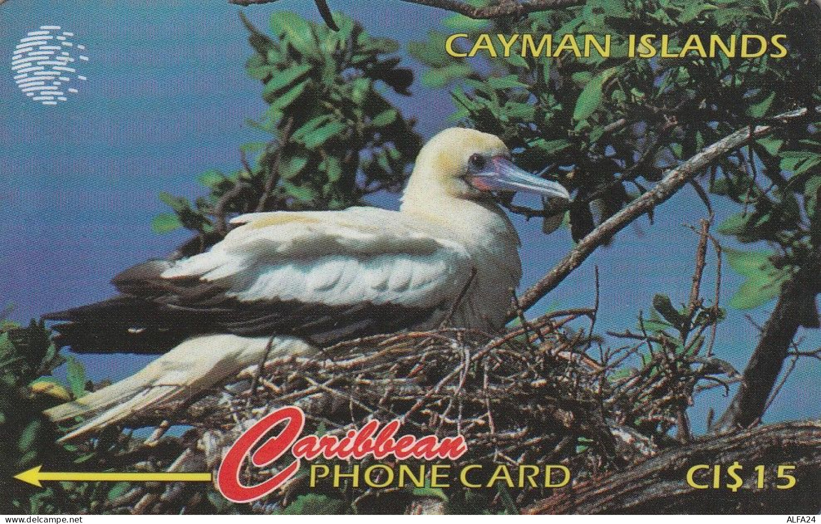 PHONE CARD CAYMAN ISLANDS  (E50.37.7 - Islas Caimán