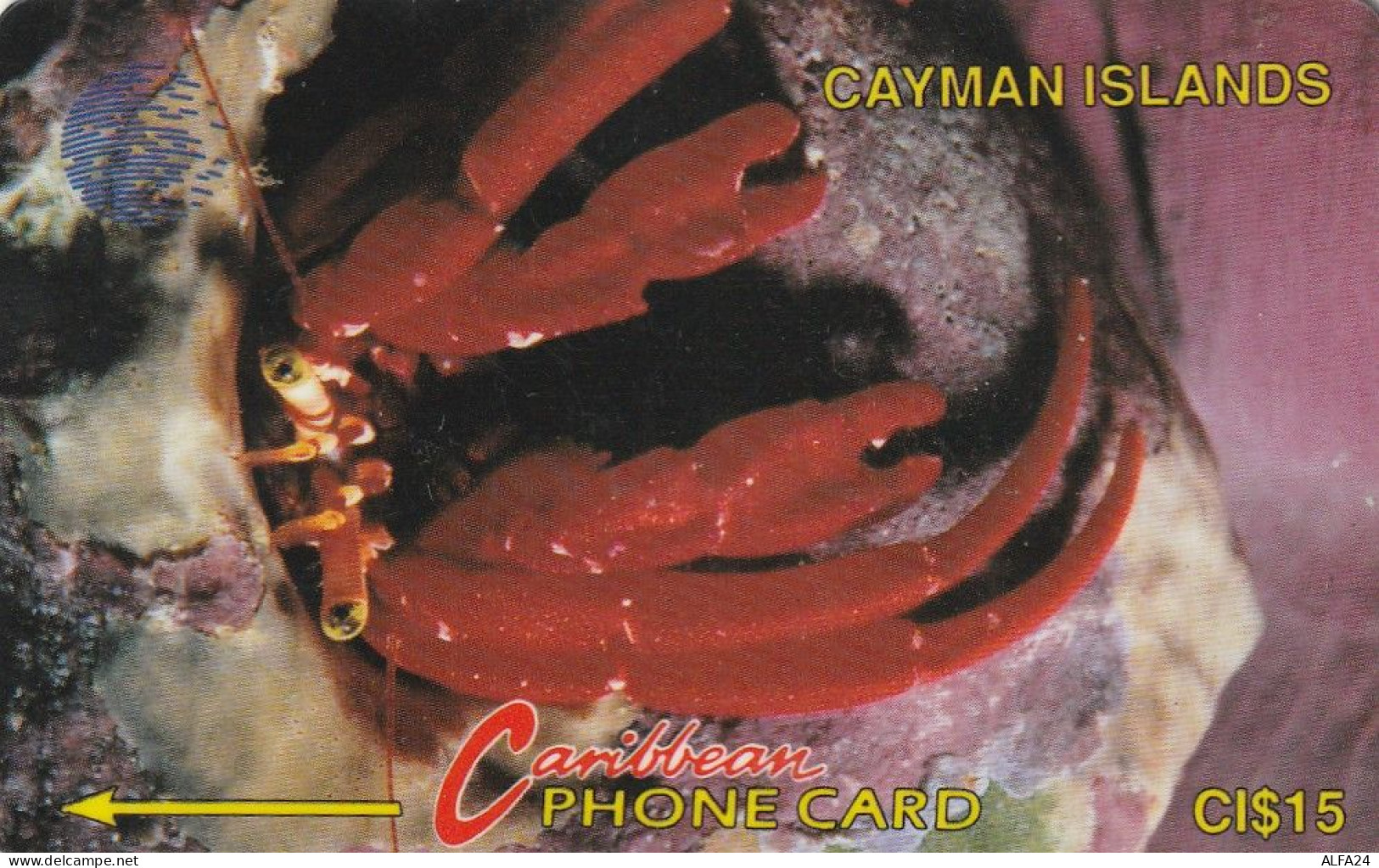 PHONE CARD CAYMAN ISLANDS  (E50.24.3 - Islas Caimán