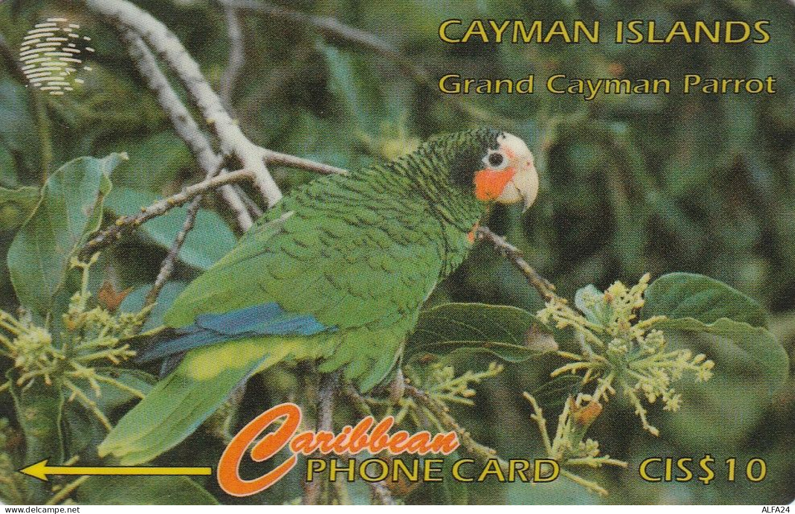 PHONE CARD CAYMAN ISLANDS  (E50.7.6 - Isole Caiman