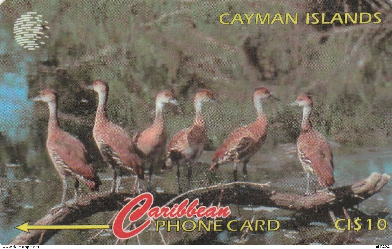 PHONE CARD CAYMAN ISLANDS  (E49.58.1 - Kaimaninseln (Cayman I.)