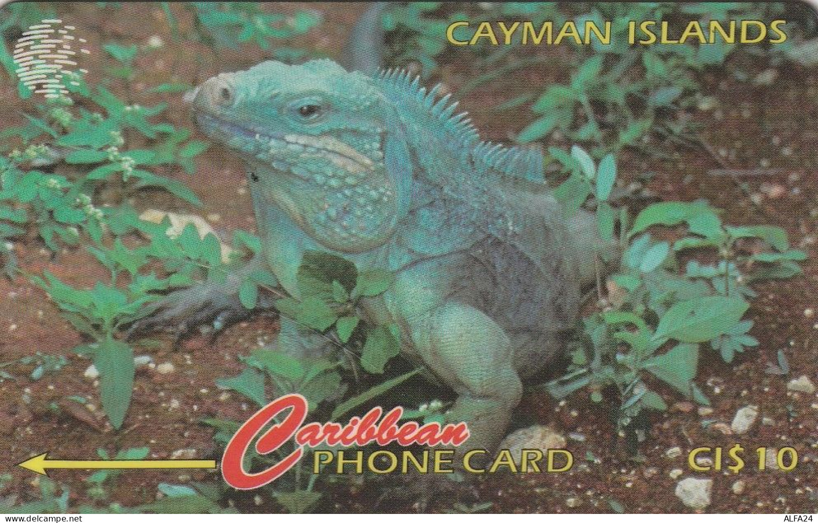 PHONE CARD CAYMAN ISLANDS  (E49.56.1 - Cayman Islands