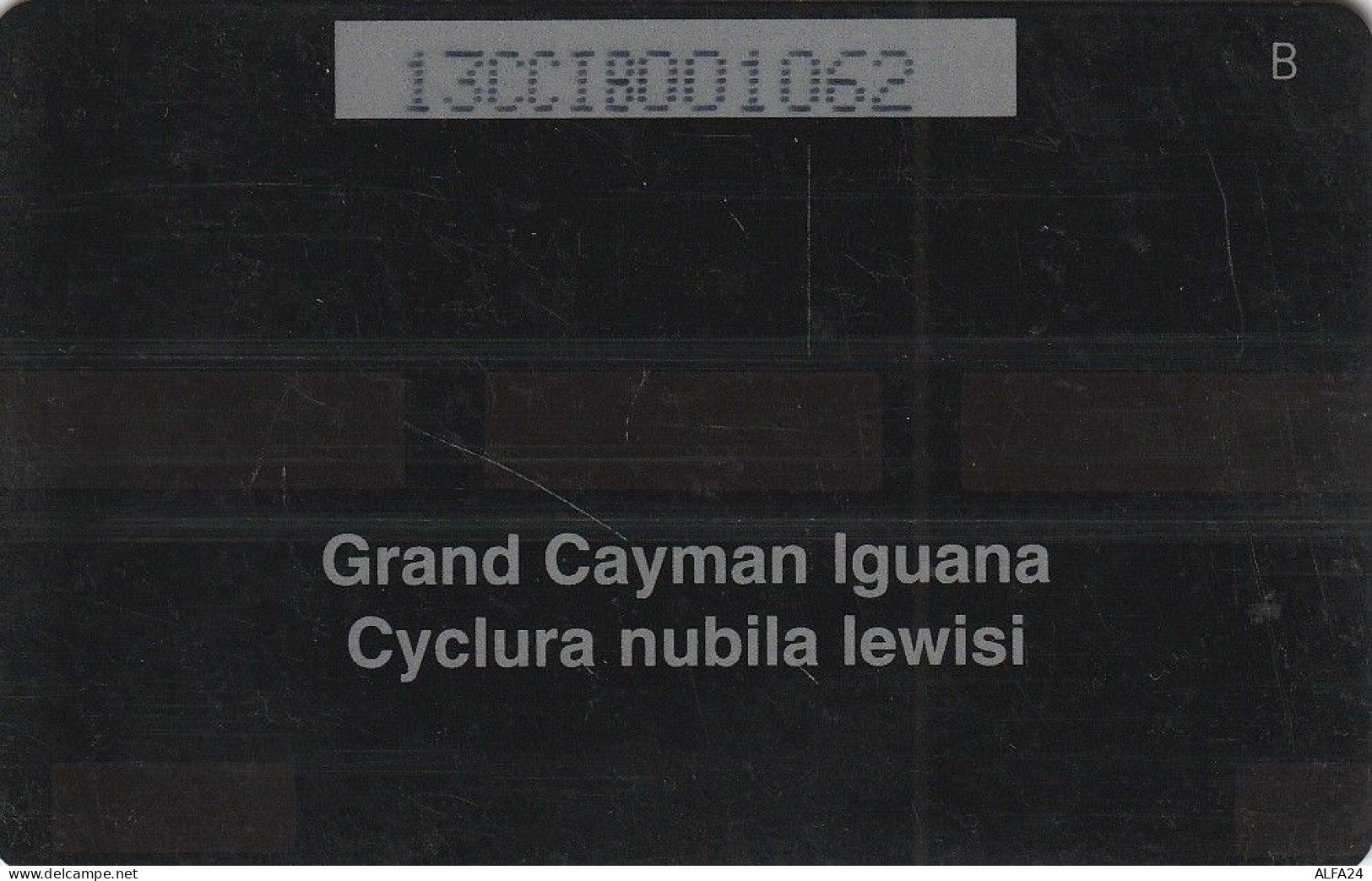 PHONE CARD CAYMAN ISLANDS  (E49.56.1 - Kaimaninseln (Cayman I.)