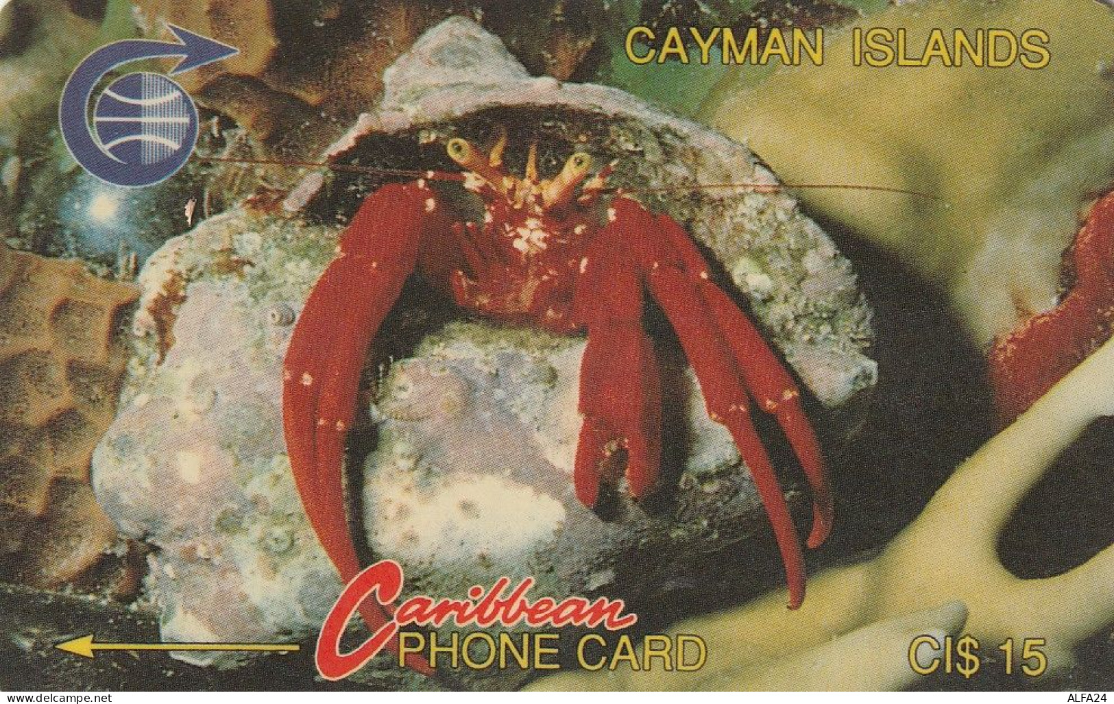 PHONE CARD CAYMAN ISLANDS  (E49.56.6 - Kaaimaneilanden