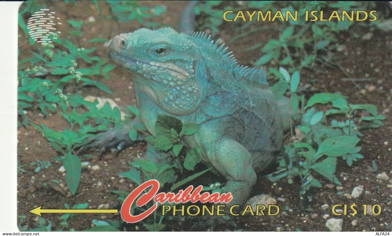PHONE CARD CAYMAN ISLANDS  (E49.49.3 - Kaimaninseln (Cayman I.)