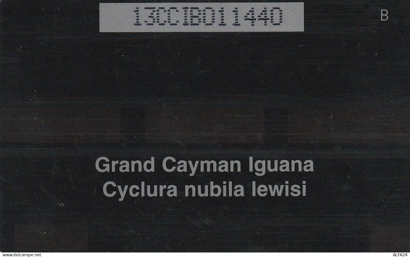 PHONE CARD CAYMAN ISLANDS  (E49.49.3 - Kaimaninseln (Cayman I.)