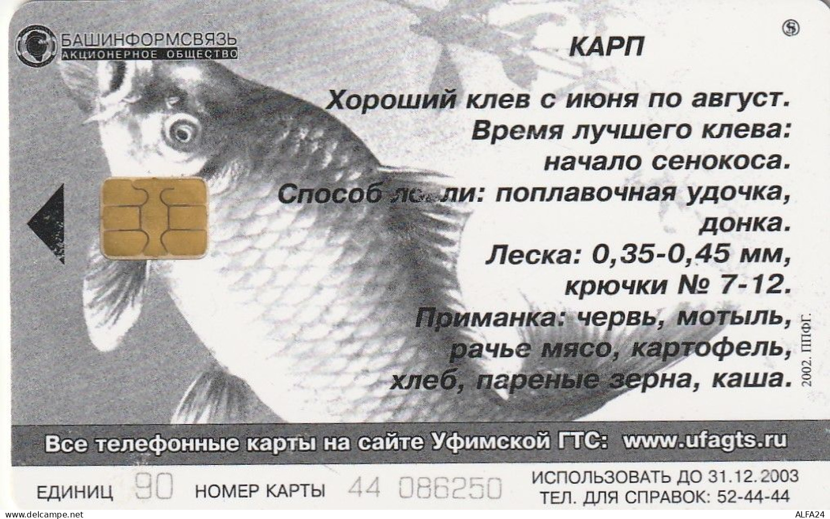 PHONE CARD RUSSIA Bashinformsvyaz - Ufa (RUS87.5 - Rusia