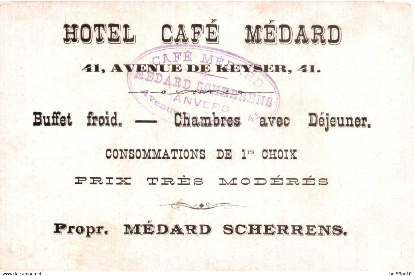 CHROMO HOTEL CAFE MEDARD PORTRAIT DE FILLETTE ENTOURE DE FLEURS PAPILLON ET LIBELLULE - Other & Unclassified