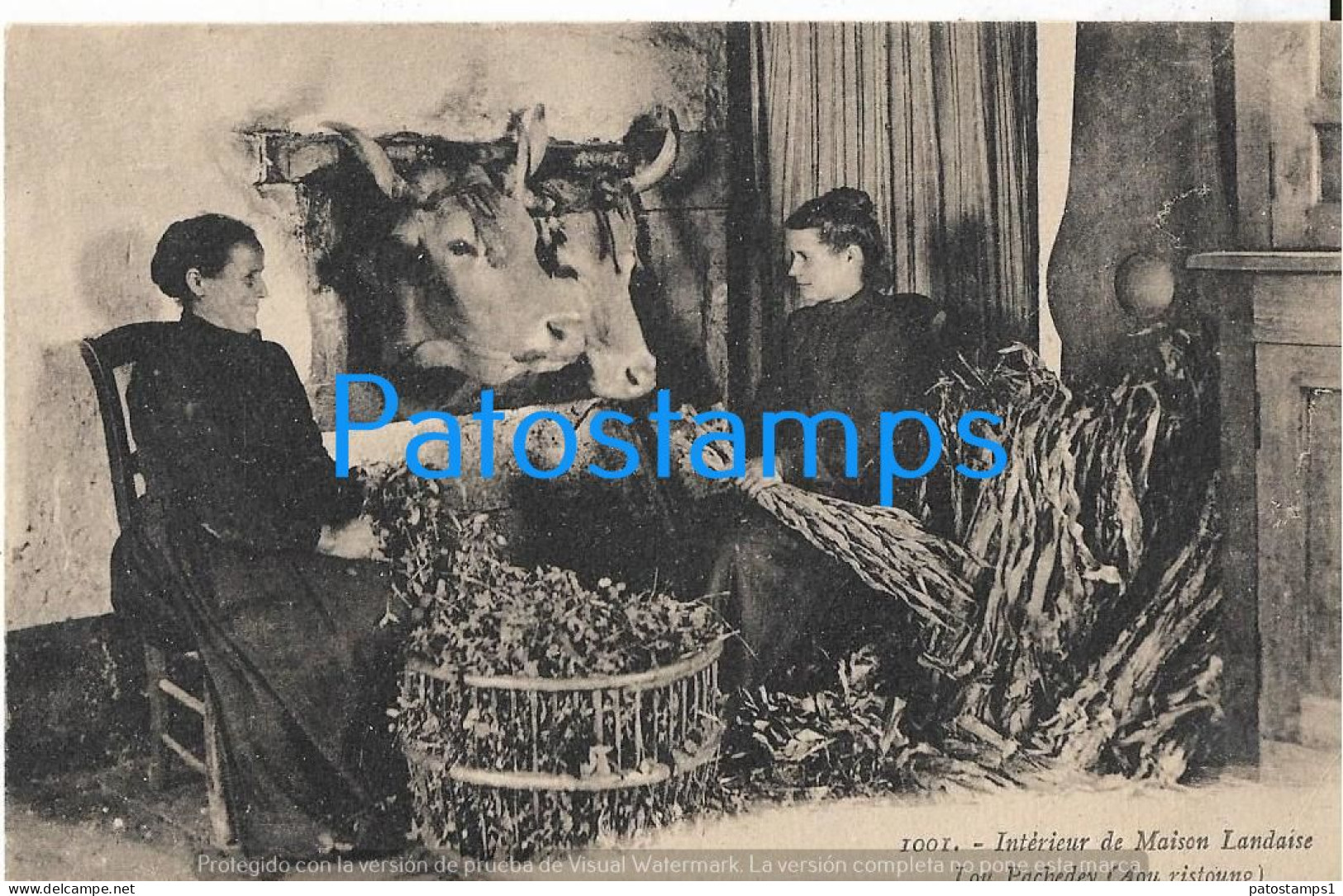 226143 FRANCE LANDESE HOUSE LOU PACHEDEY COSTUMES WOMAN'S FEEDING THE COWS  POSTAL POSTCARD - Otros & Sin Clasificación