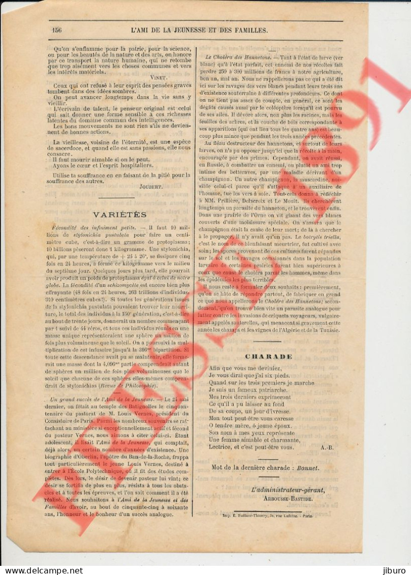 Doc 1891 Choléra Des Hannetons Destruction évocation De Prillière Delacroix Le Moult Botrytis Triella Agriculture - Ohne Zuordnung