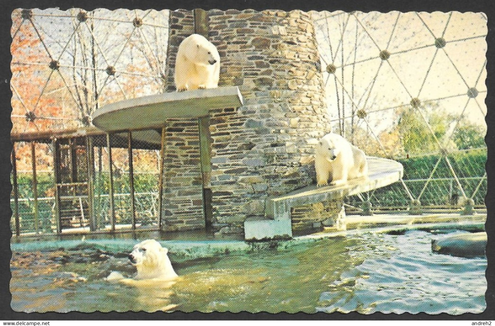 Granby  Québec - Zoo Granby - Ours Blancs - Polar Bears - Parc Zoologique De Granby No: 51818-C - Par J.Bienvenue - Bears