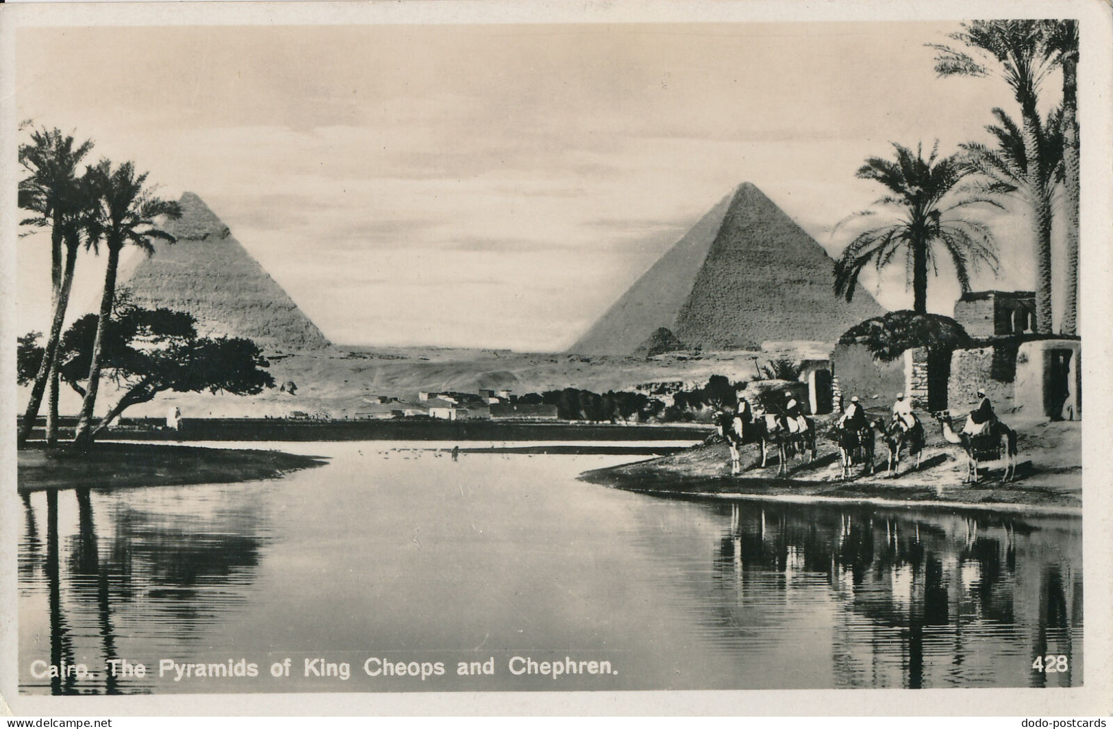 PC41917 Cairo. The Pyramids Of King Cheops And Chephren - Monde