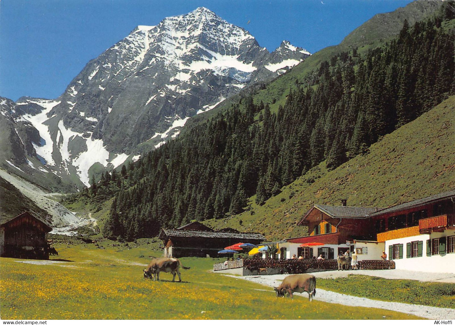 Neustift Stubaital Tirol Alpengasthof Pinnisalm Mit Habicht Stubaier - Neustift Im Stubaital