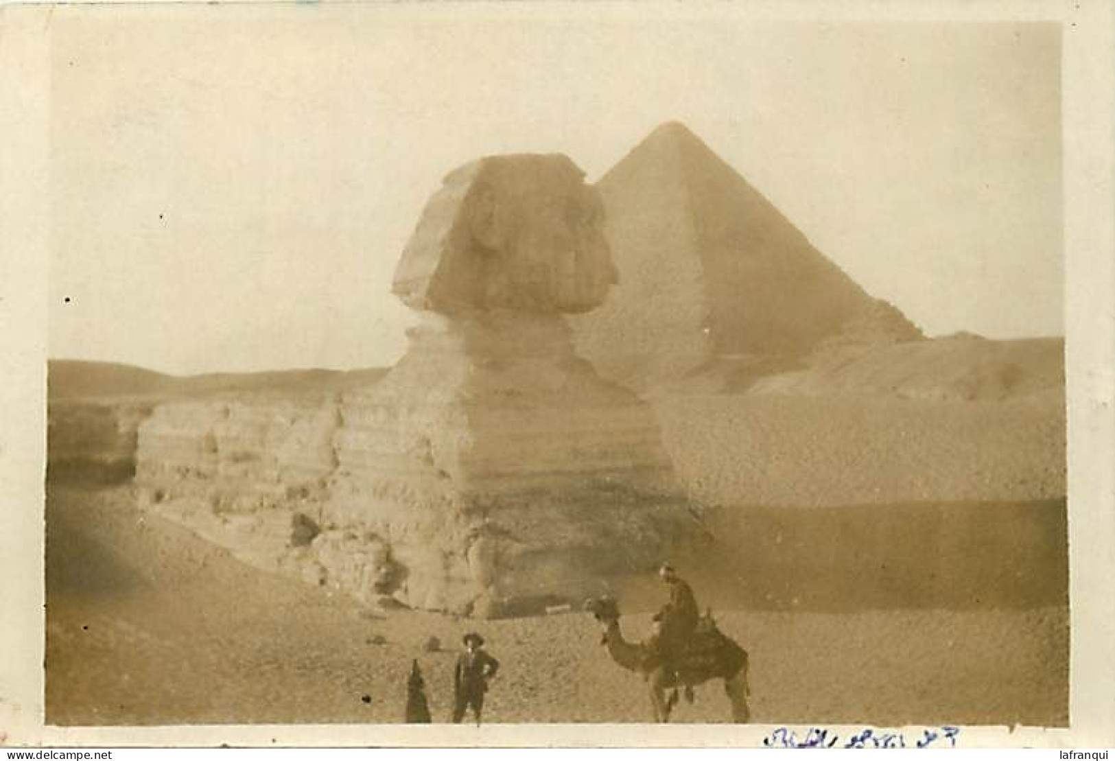 Pays Div-ref EE683- Egypte - Egypt -carte Photo - Photo Postcard - Le Sphinx  - - Sphynx