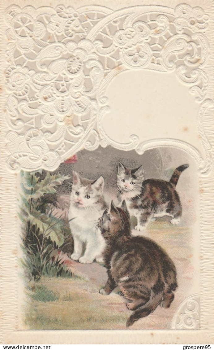 CHATS CARTE GAUFFREE - Gatos