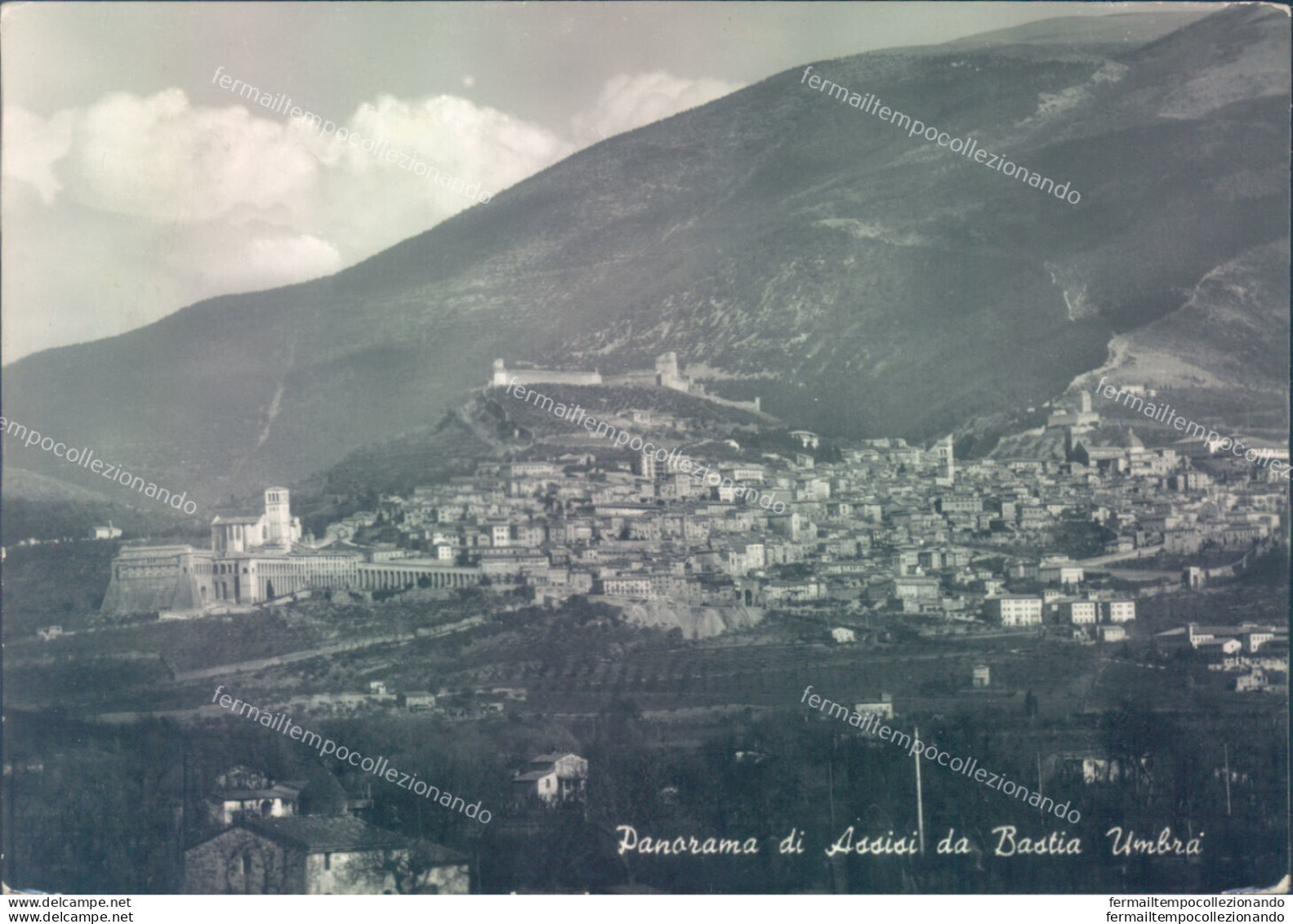 Aa607 Cartolina Panorama Di Assisi Da Bastia Umbra Provincia Di Perugia - Perugia