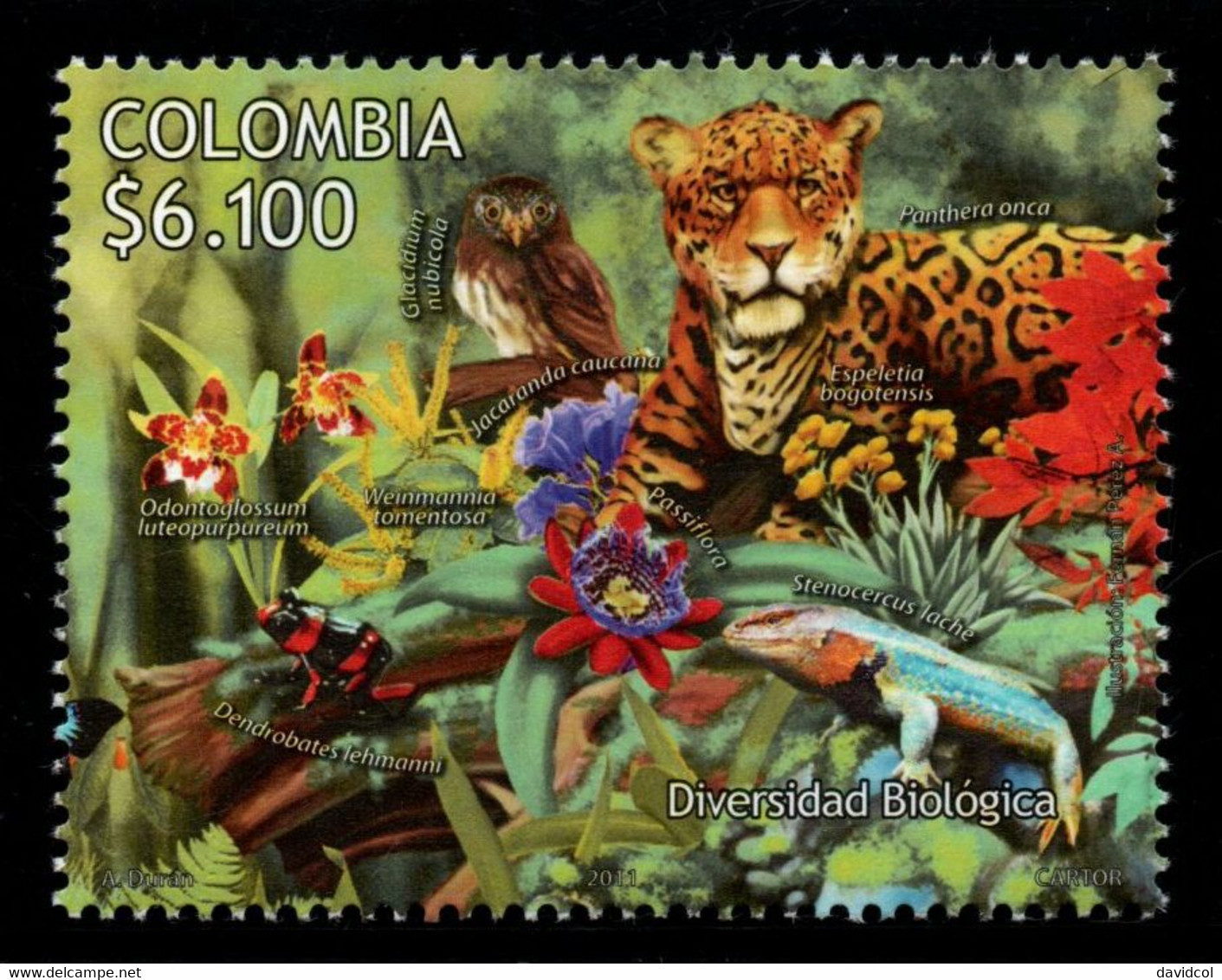 04A-KOLUMBIEN - 2011 -MNH - ORCHIDS, BEAR, JAGUAR,INSECTS, FISH. BIODIVERSITY IN COLOMBIA - Colombie