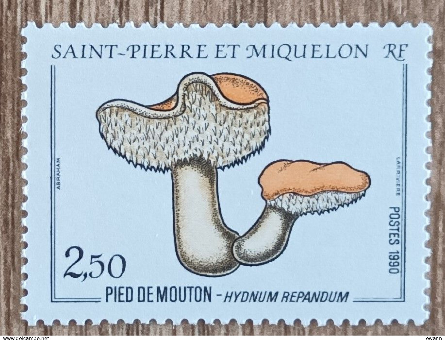 St Pierre Et Miquelon - YT N°513 - Flore  / Champignons - 1990 - Neuf - Unused Stamps