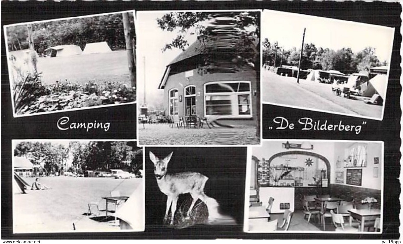 FRANCE - Lot De 50 CPSM-CPM : CAMPING Europe (hors France) Dont 13 Netherlands Pays Bas (0.10 € / Carte) - 5 - 99 Postcards