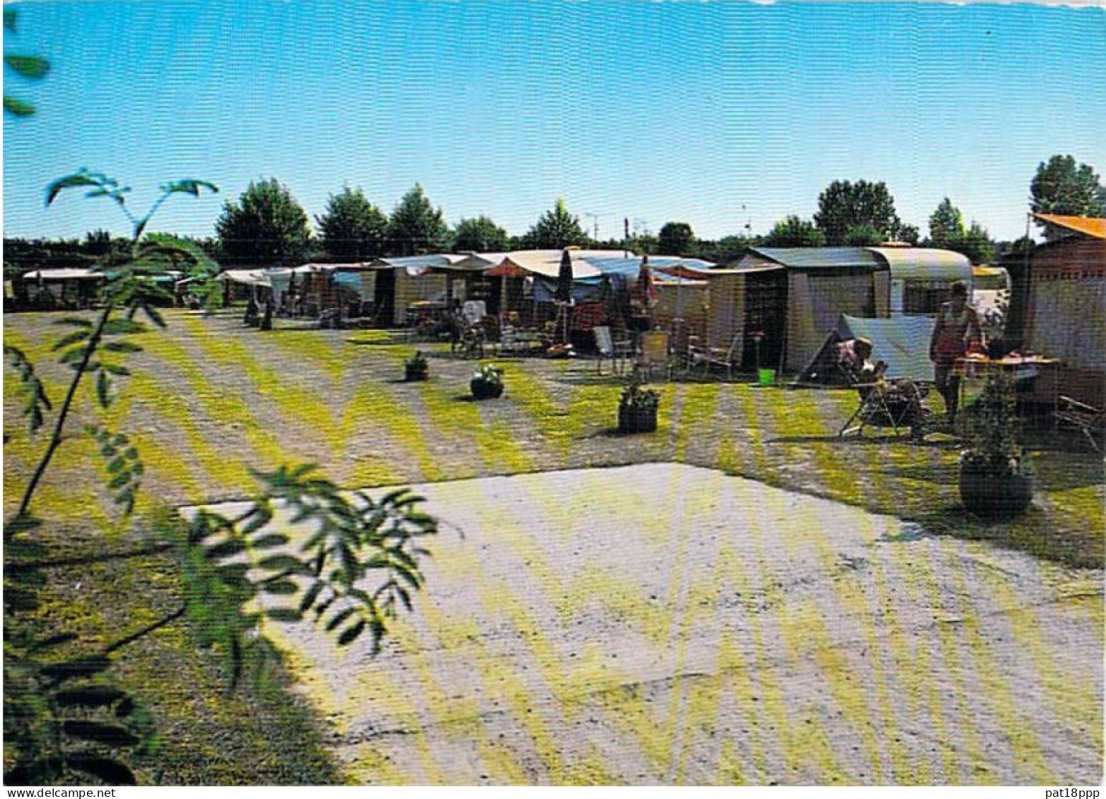 FRANCE - Lot De 50 CPSM-CPM : CAMPING Europe (hors France) Dont 13 Netherlands Pays Bas (0.10 € / Carte) - 5 - 99 Postcards