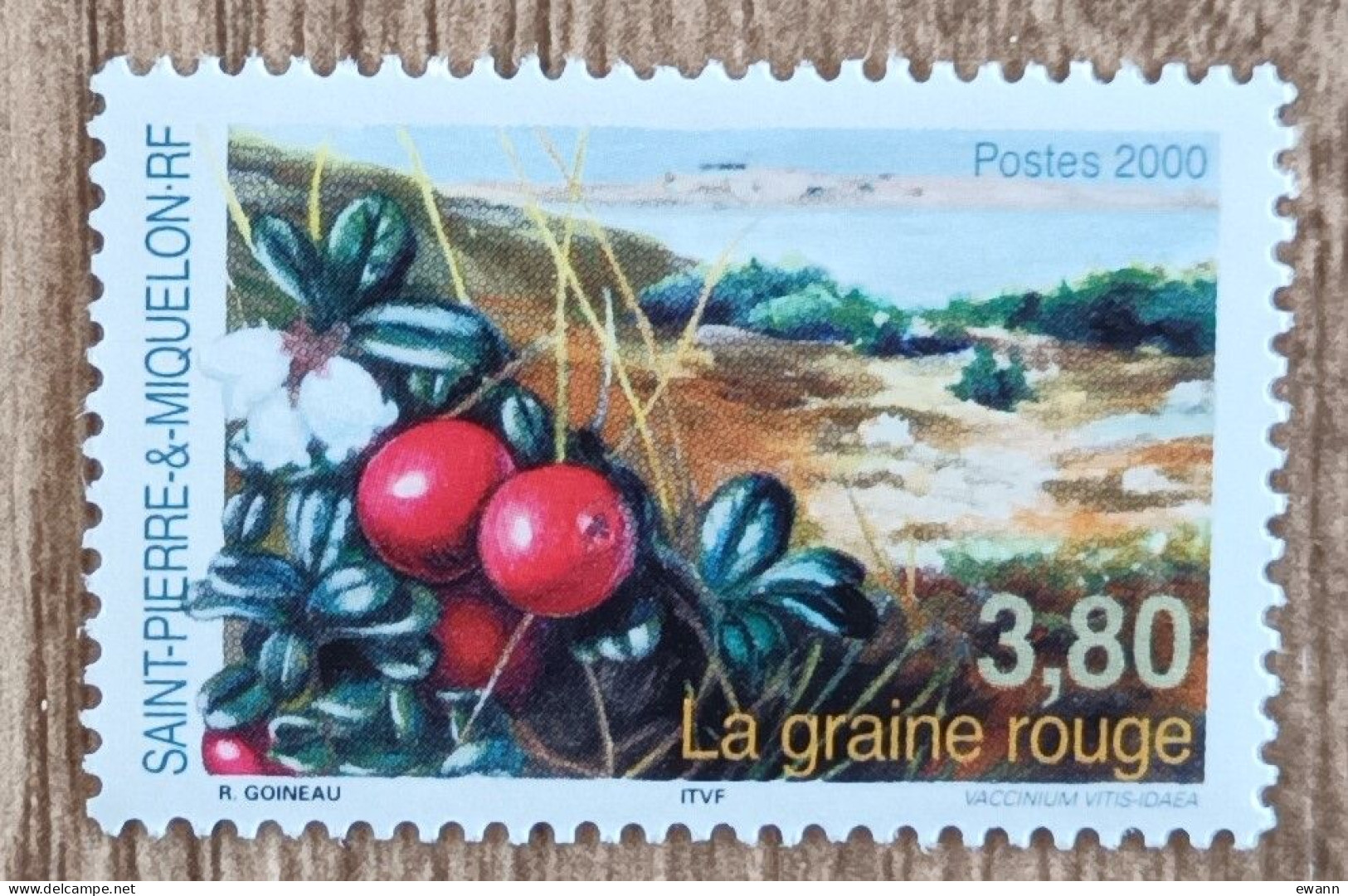 Saint Pierre Et Miquelon - YT N°710 - Flore / La Graine Rouge - 2000 - Neuf - Ungebraucht