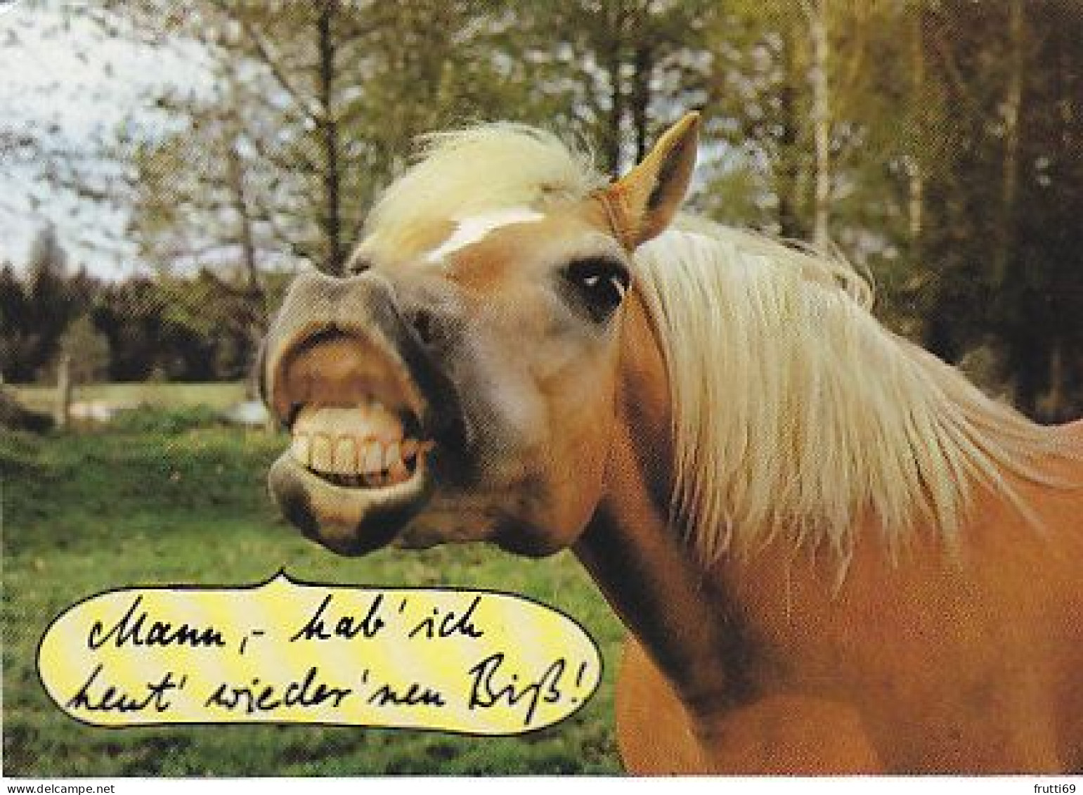 AK 210830 HORSE / PFERD - Paarden