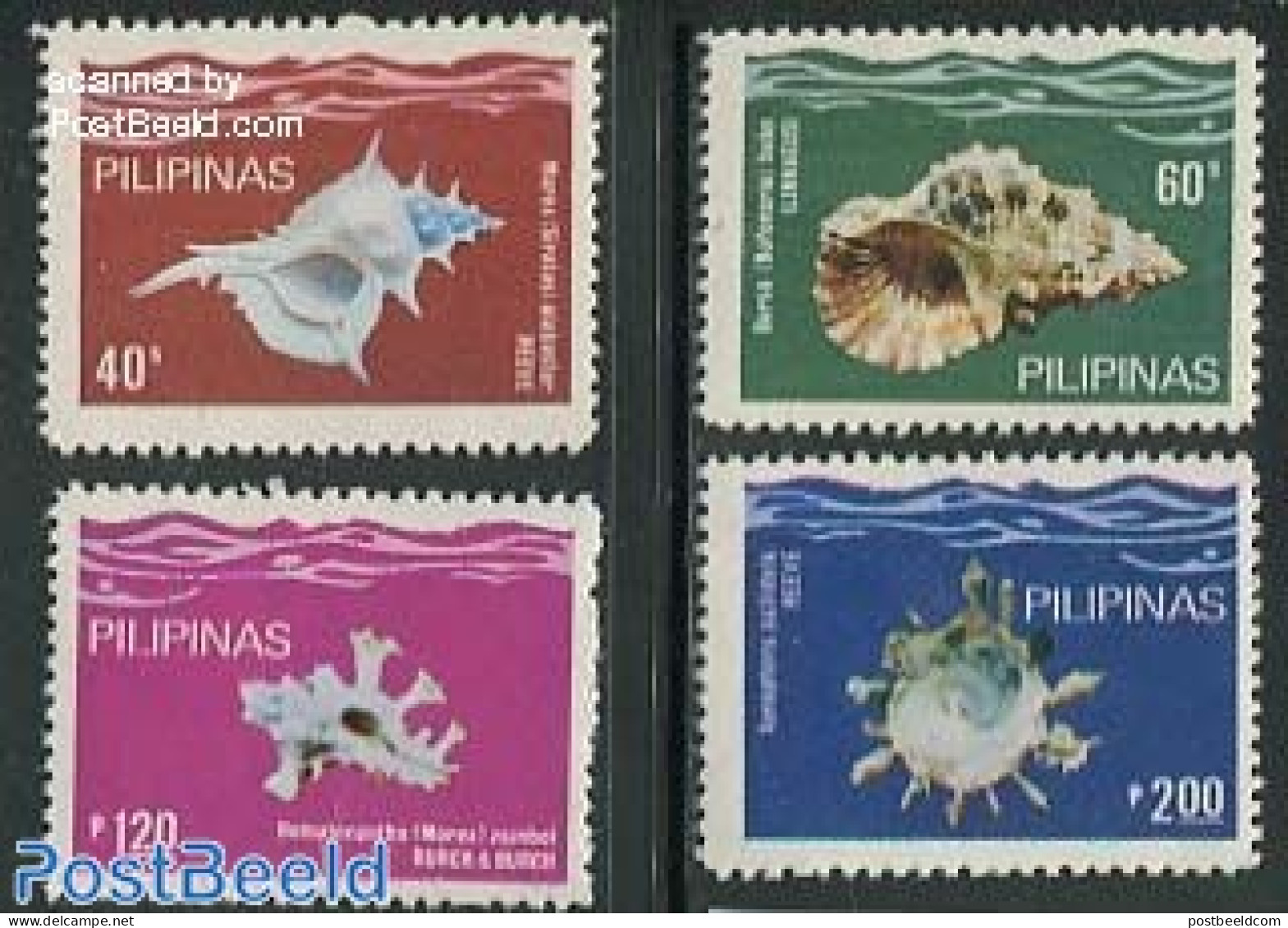 Philippines 1980 Shells 4v, Mint NH, Nature - Shells & Crustaceans - Marine Life
