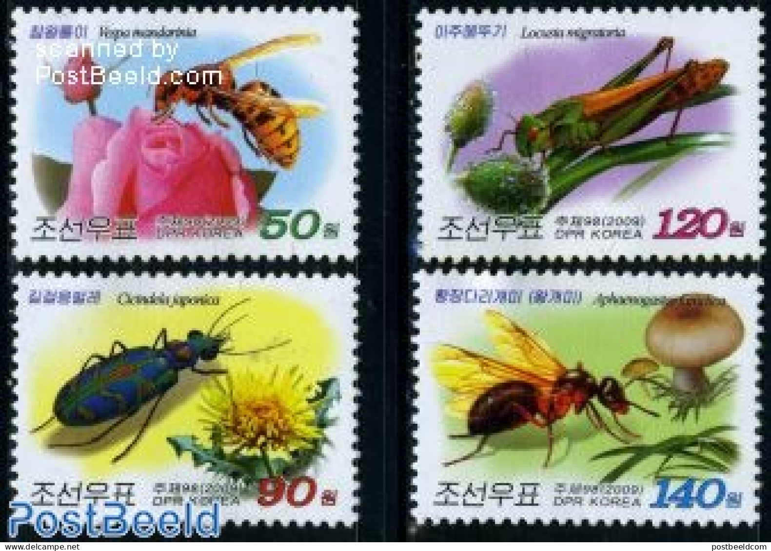 Korea, North 2009 Insects 4v, Mint NH, Nature - Flowers & Plants - Insects - Mushrooms - Roses - Pilze