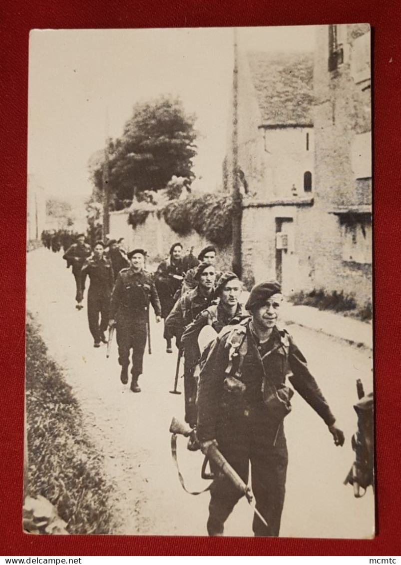 CPM -  Militaire , Militaires - 6 Juin 1944 Troops Commando -  Spiners Allemands - Other & Unclassified