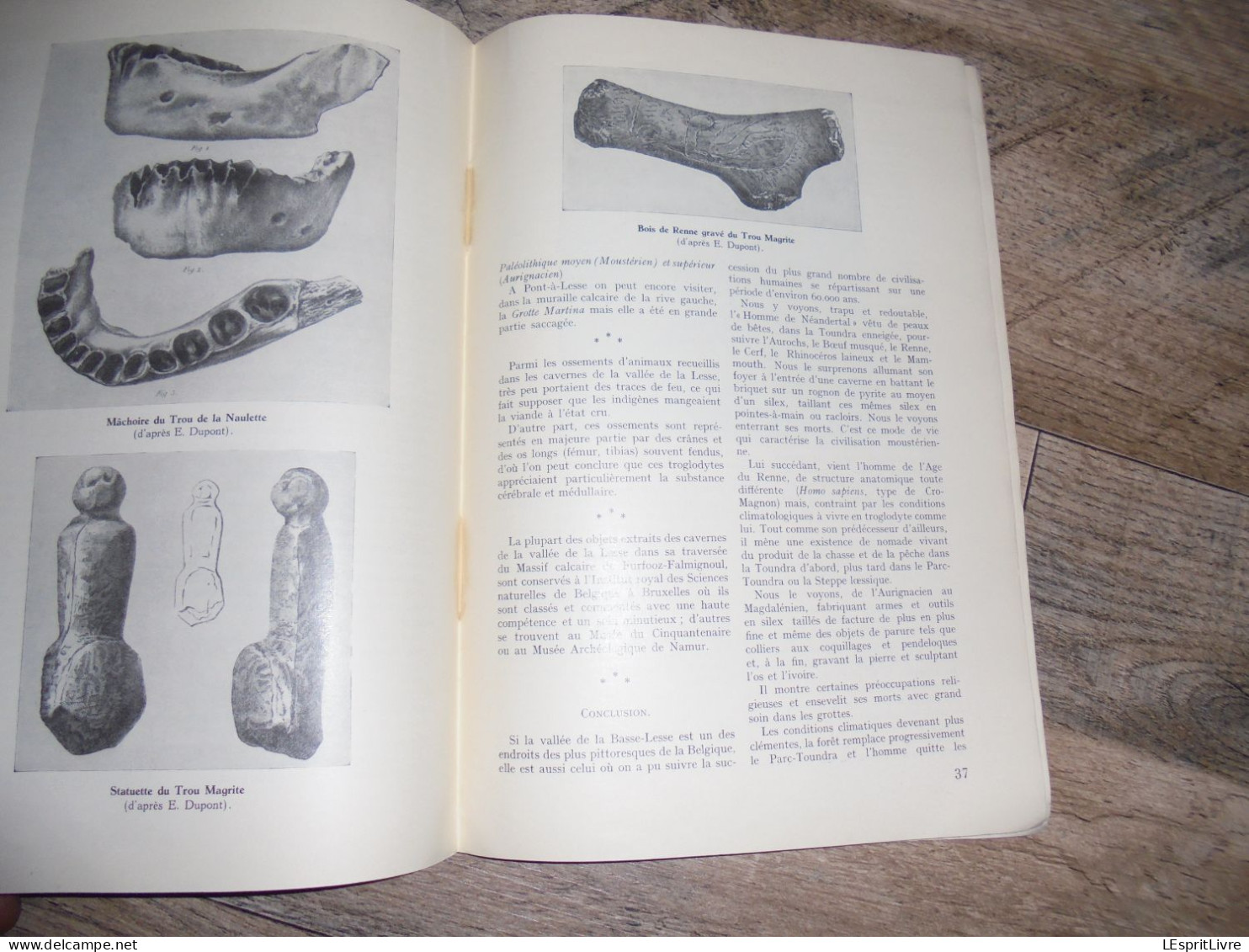 Ardenne Gaume Monographie LA REGION DE FURFOOZ Régionalisme Géologie Grotte Trou Lesse Chaleux Hulsonniaux Archéologie