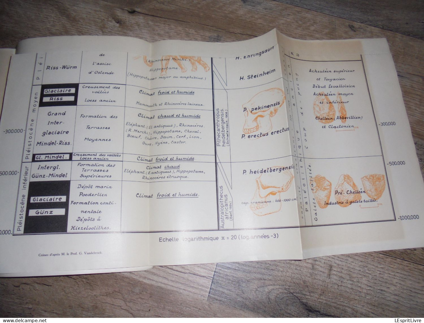 Ardenne Gaume Monographie LA REGION DE FURFOOZ Régionalisme Géologie Grotte Trou Lesse Chaleux Hulsonniaux Archéologie