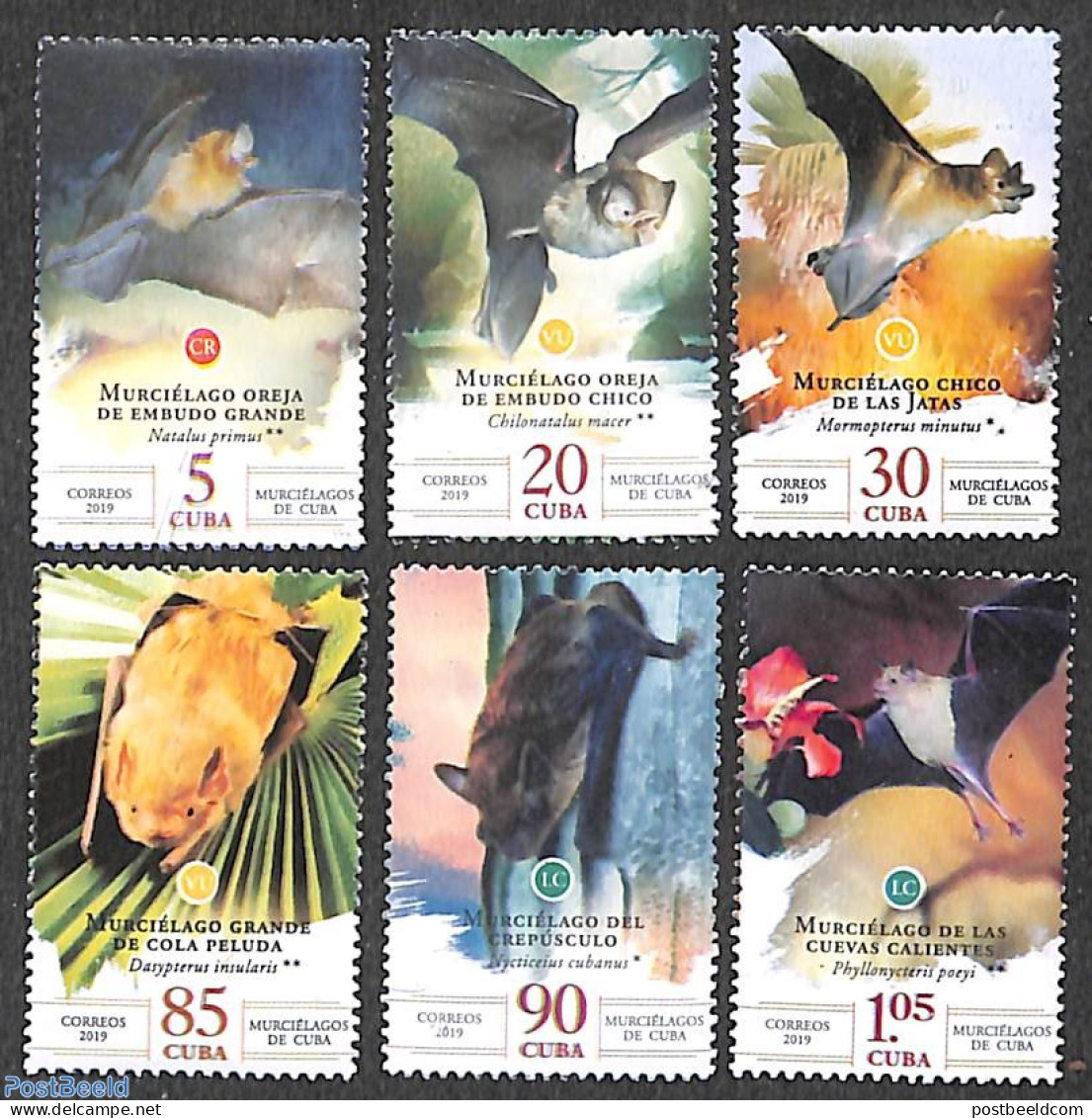Cuba 2019 Bats 6v, Mint NH, Nature - Bats - Nuovi