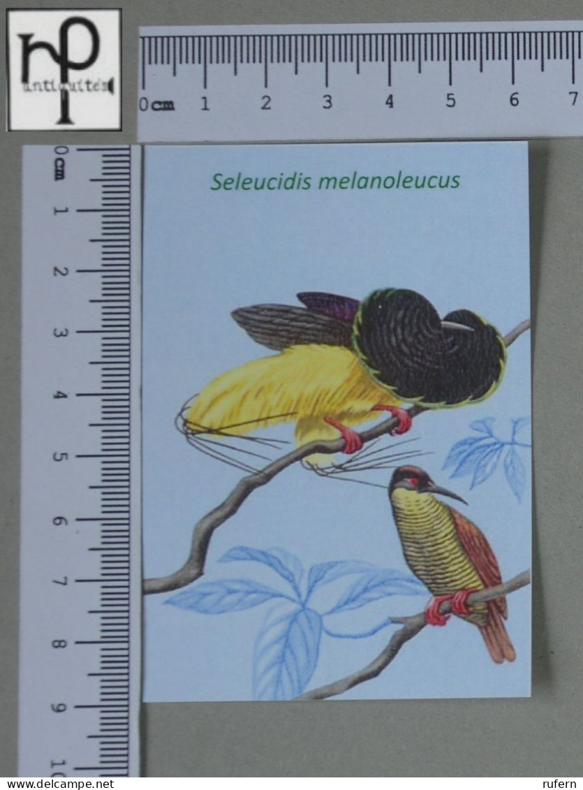 CALENDARS  - BIRDS OF PARADISE - 2024 - 2 SCANS  - (Nº58774) - Kleinformat : 2001-...