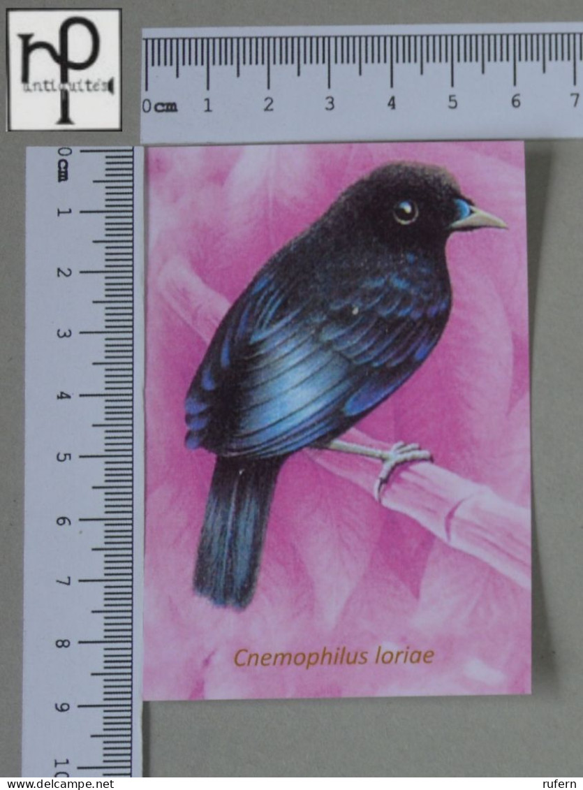 CALENDARS  - BIRDS OF PARADISE - 2024 - 2 SCANS  - (Nº58777) - Kleinformat : 2001-...