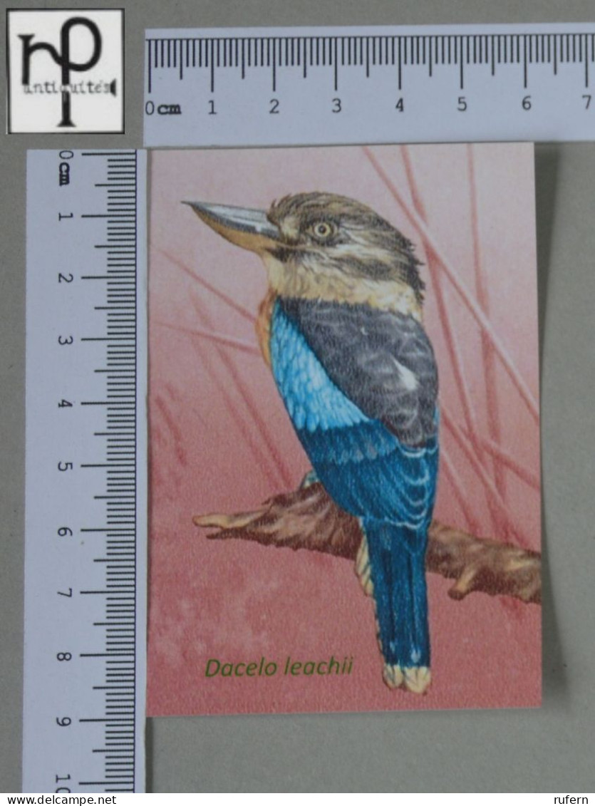 CALENDARS  - BIRDS OF PARADISE - 2024 - 2 SCANS  - (Nº58781) - Kleinformat : 2001-...