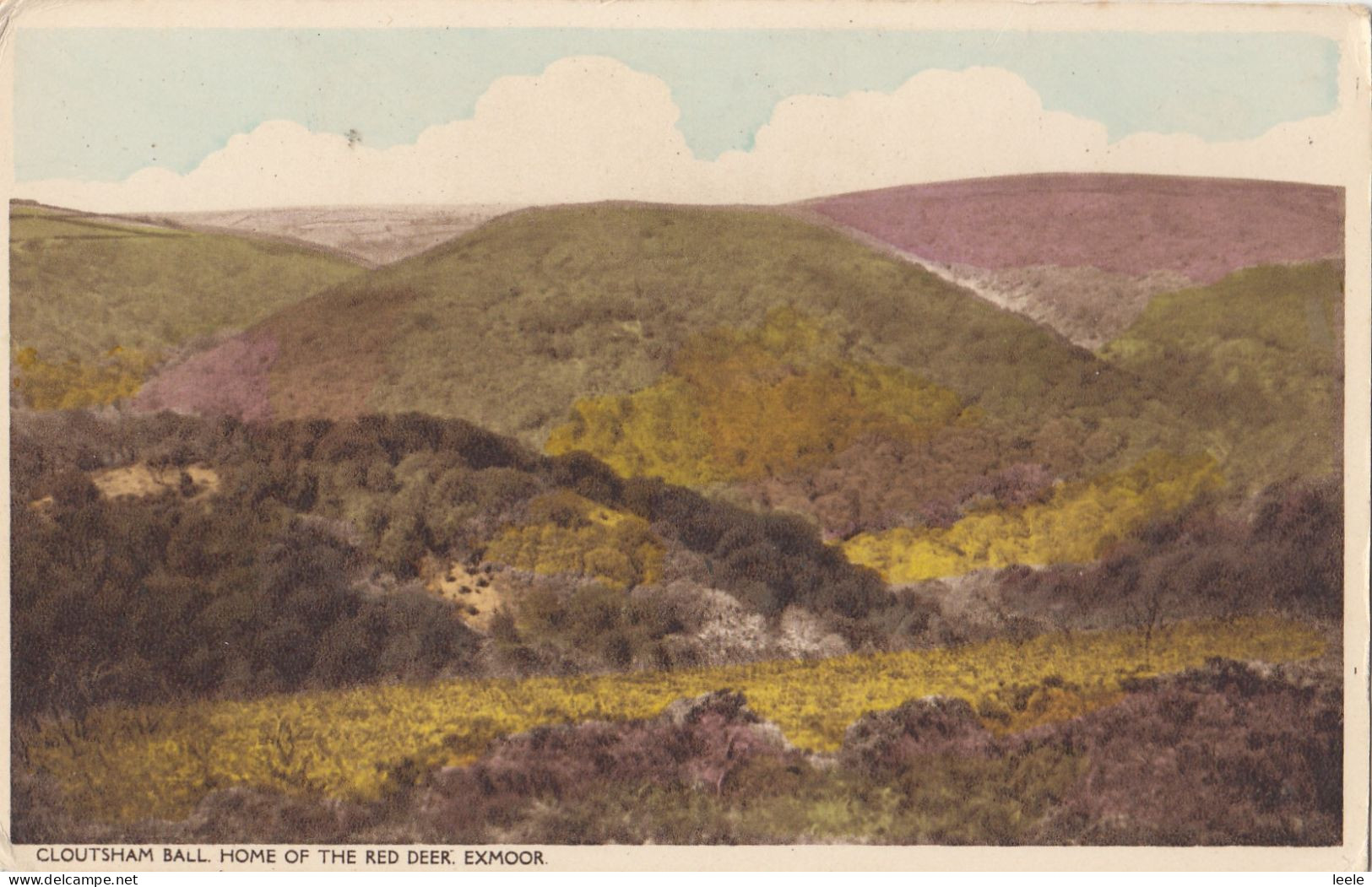 CN93. Vintage Postcard. Cloutsham Ball. Home Of The Red Deer. Exmoor. - Autres & Non Classés