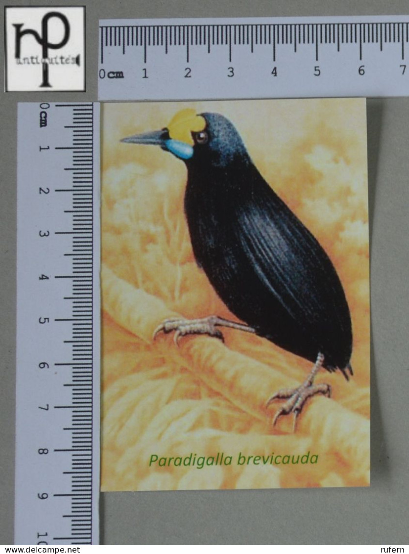 CALENDARS  - BIRDS OF PARADISE - 2024 - 2 SCANS  - (Nº58784) - Petit Format : 2001-...