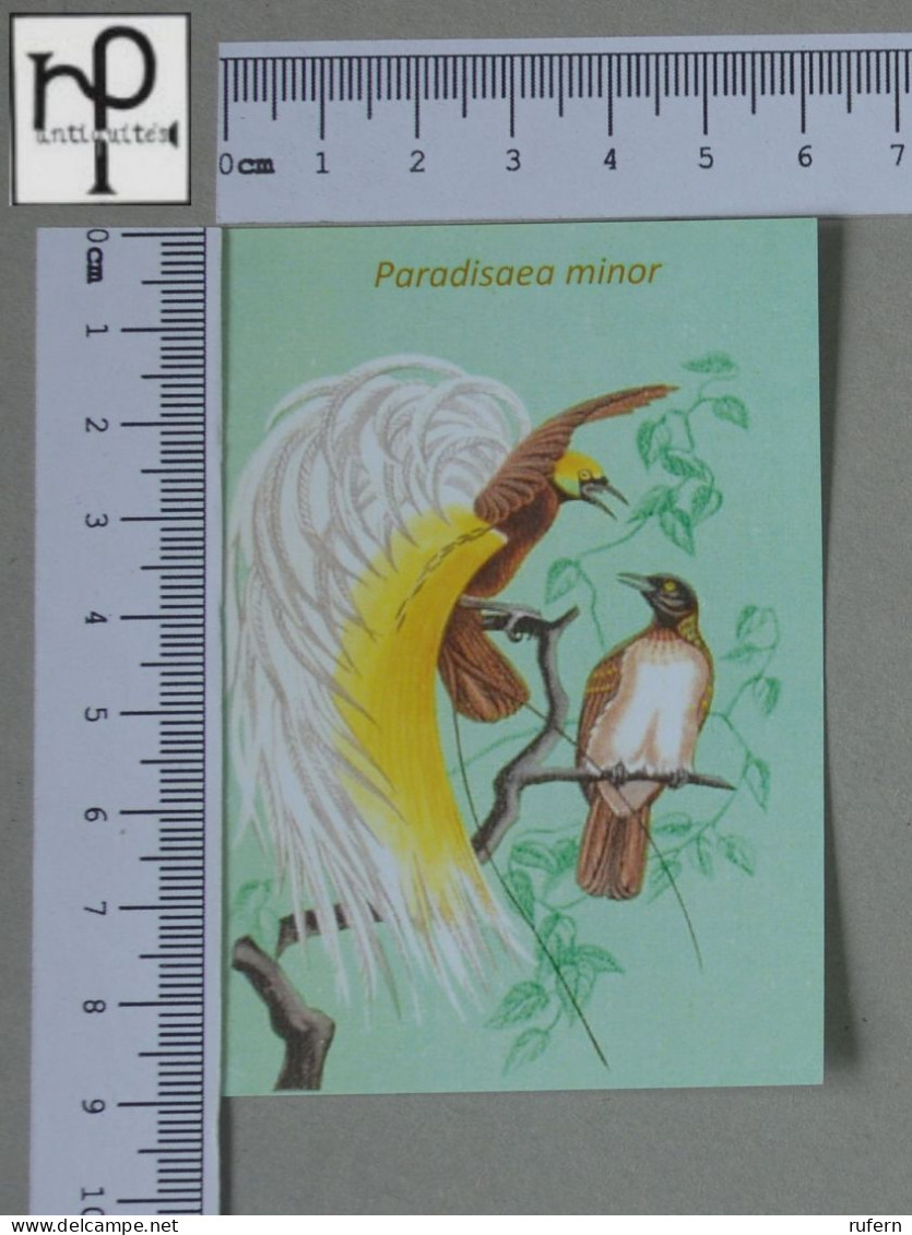 CALENDARS  - BIRDS OF PARADISE - 2024 - 2 SCANS  - (Nº58790) - Kleinformat : 2001-...