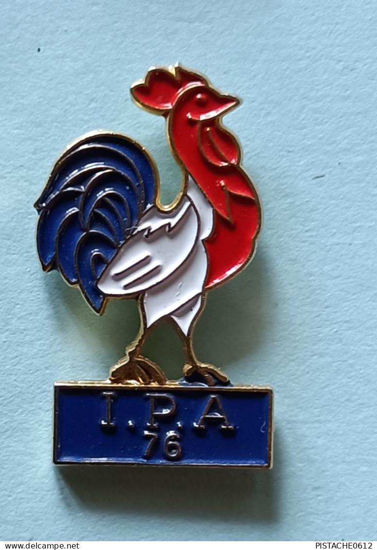 Pin's I.P.A 76 International Police Association Coq - Police