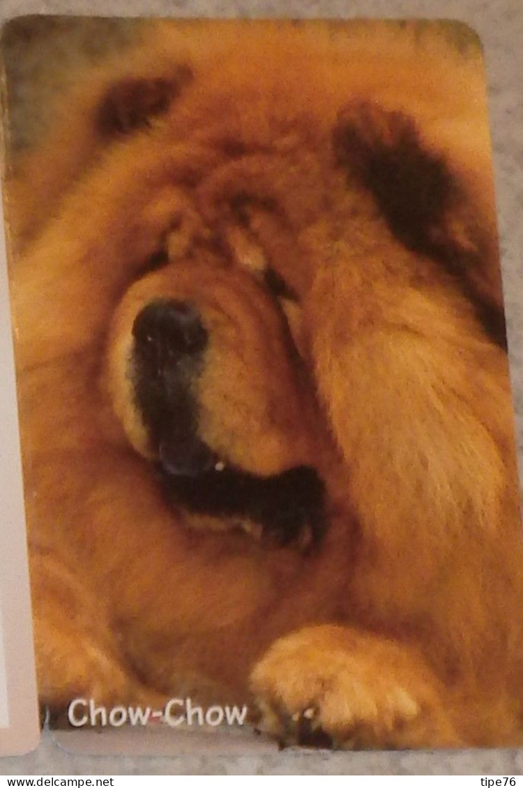 Petit Calendrier De Poche 2000 Chien Chow Chow - St Jean Calendrier - St Cyr Sur Loire Indre Et Loire - Klein Formaat: 1991-00